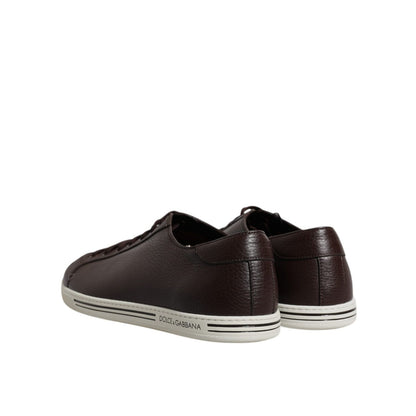 Dolce & Gabbana Brown Low Top Men Saint Tropez Sneakers Shoes