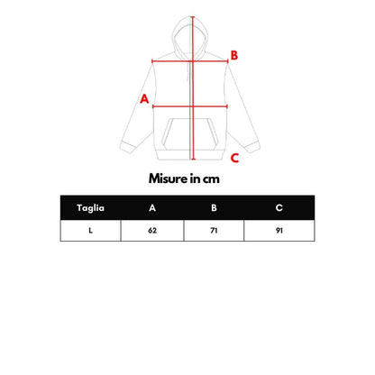 Balenciaga Gray Cotton Sweatshirt