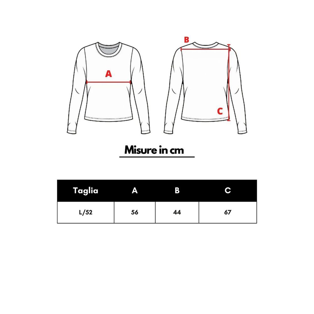 Cruciani Gray Cashmere Turtleneck